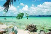 Andaman Tour Packages